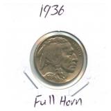 1936 Buffalo Nickel - Full Horn