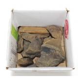 Possible Meteorite Specimens