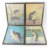 * 4 Framed Wiley Miller Fish Paintings