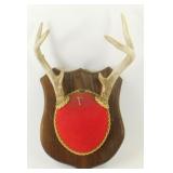 ** 6-Point Antler Mount