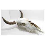 ** Large Steer Skull
