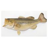 ** Large Mouth Bass Mount - Approximately 5 lbs