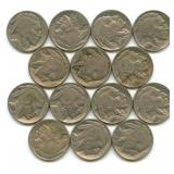 (14) Buffalo Nickels - Readable Dates