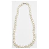 Pearl Style Necklace (Not Real Pearls)