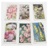 Antique Cigarette Card Grouping - Flowers