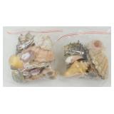 ** (2) 1 Gallon Size Bags with Cool Shells