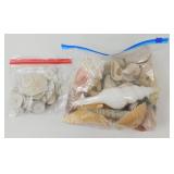 ** 1 Gallon Size Bag with Shells and a Bag of