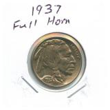 1937 Buffalo Nickel - Full Horn