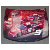 ** Large Kasey Kahne NASCAR Hood - 30" x 25"