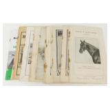 Vintage Agriculture Antique Booklets (Rare Find)