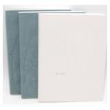 3 Reflection Journals / Diaries