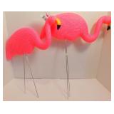 Pink Flamingos