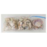 ** 3 Gallon Bags of Shells