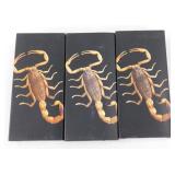Scorpion Keychain & Necklace
