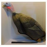 Turkey Hunting Decoy