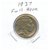 1937 Buffalo Nickel - Full Horn