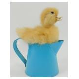 Taxidermy Duckling in Blue Can