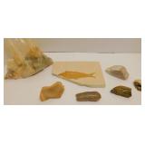 Dinosaur Bones, Fossils, Petrified Wood & More