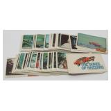 (59) 1981 Dukes of Hazard Trading Cards &