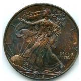 2009 Silver American Eagle - Nice Toning. Blues