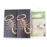 Beetle Keychain, Necklace & Earrings