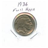 1936 Buffalo Nickel - Full Horn