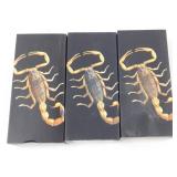 Spider/Scorpion Keychains & Necklace