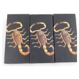 Scorpion Keychains & Necklace