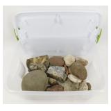 * Rock & Fossil Collection - A Nice Variety for