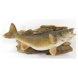 ** Very Large Mounted Walleye - Very Nice