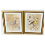 * 2 Bird Pictures