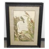 ** Framed & Matted Title Page for Nederlandsche
