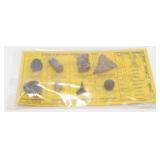 Fossils of Our Prehistoric Past Collection