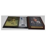 * 2 Dale Earnhardt Plaques
