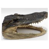 * Vintage Alligator Mount Dead Head with Open