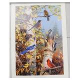 * Taste of La Crosse Wildlife Poster Print