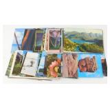 75 Post Cards Featuring Nature