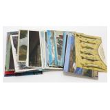 Set of Arizona Post Cards & Group of Canada Post