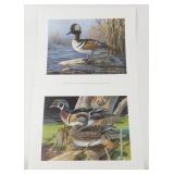 2 Duck Prints by Don Kloetzke