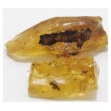 Group of Two Nice Amber Pieces with Insects -