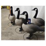 4 Alpha Goose Decoys look at pictures for more
