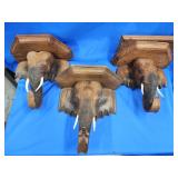 3 hand carved Elephant head wall shelf.   1 has