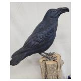 Ed Gray carved Raven standing on stump.  Very