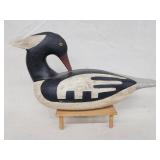 Preening Merganser Bob Booth Chincoteague Island