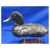 Antique Black  Duck Decoy has iron keel look at