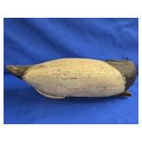 Old Decoy body Upper Chesapeake Bay Cecil County