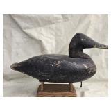 Old Black Duck Decoy , Heverin Head, look at