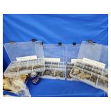 Deep Crrek Lake Fossils from Garrett city, MD.