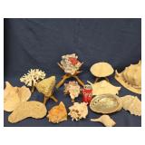 14 Seashells and Coral some shells are large