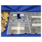 Deep Creek Fossil collection look at the photos